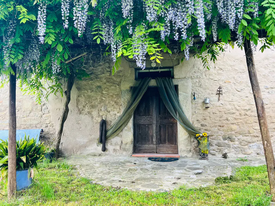 Glicine in fiore sopra il portone in legno del muro in pietra di Casa Vedetta