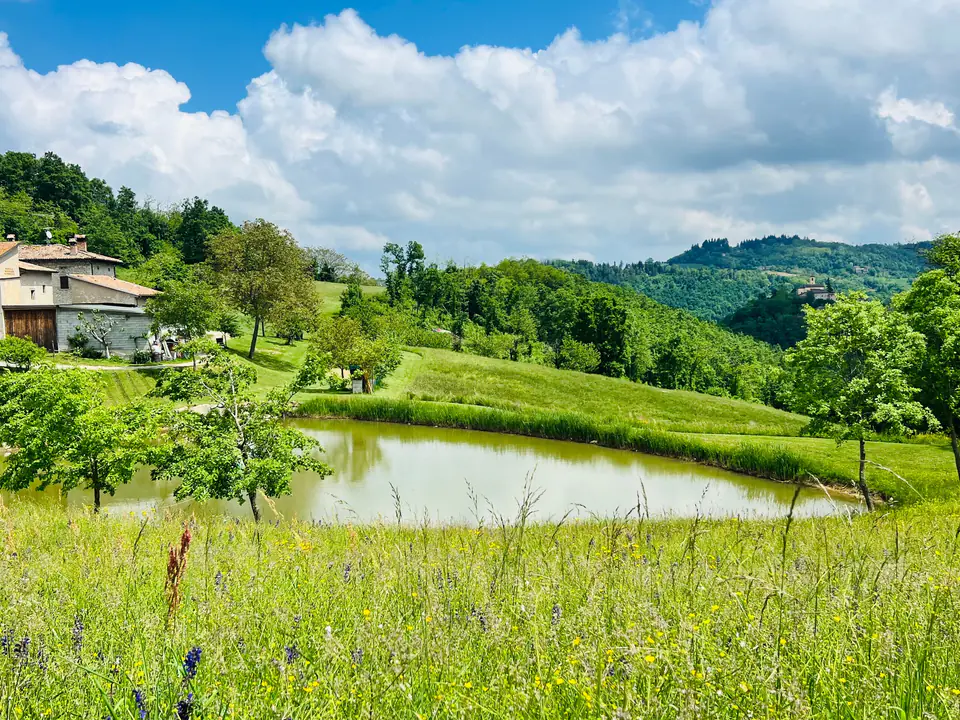 Il piccolo lago privato di Casa Vedetta circondato dai prati e dalle colline
