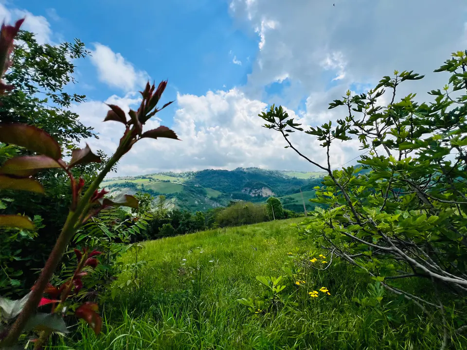 Vista panoramica sulle colline verdi dell’Appennino modenese da Casa Vedetta